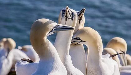 足协通报对13家涉案俱乐部处罚详情：天津津门虎和上海申花被扣10分并罚款100万