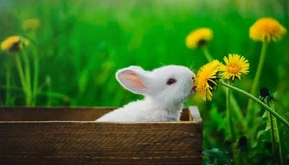 星空体育官网-齐达内：俱乐部支持我 大家都很支持我